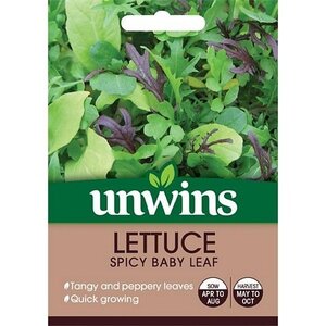 Lettuce (Leaves) Spicy Baby Leaf