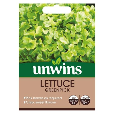 Lettuce (Looseleaf) Greenpick - image 1