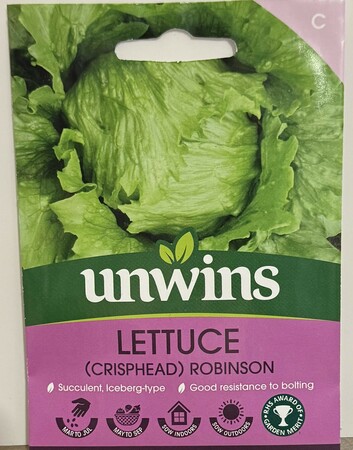 Lettuce Robinson (Iceberg)Vegetable