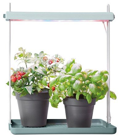 light garden 26cm