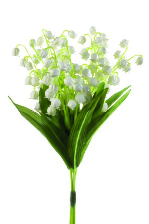 Lily of the valley bundle white x3