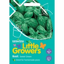 Little grower basil Sweet Green