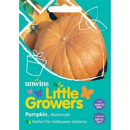 Little Growers Pumpkin Mammoth