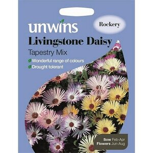 Livingstone Daisy Tapestry Mix