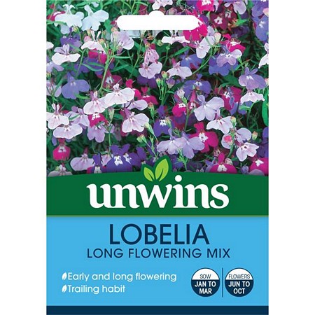 Lobelia Long Flowering Mixed (Trailing)