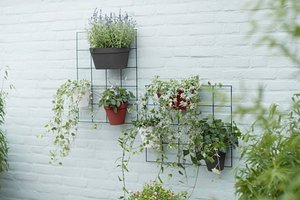 loft urban green wall rack 59cm