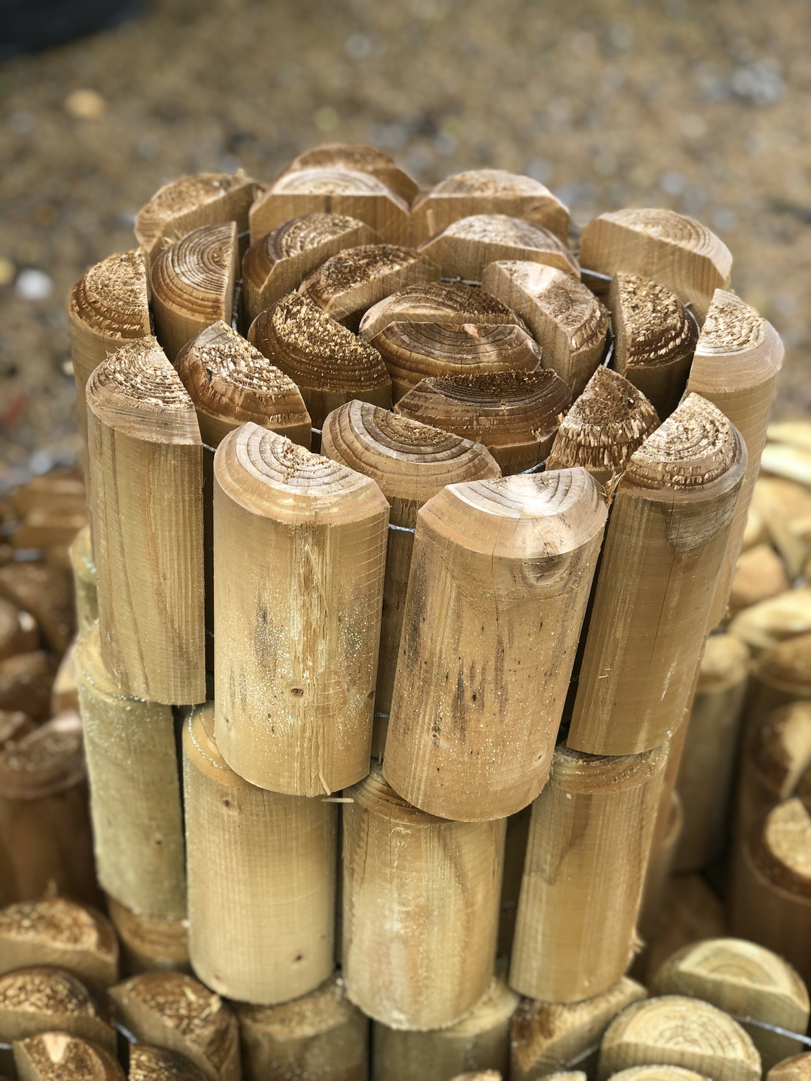 Log Roll Natural 6