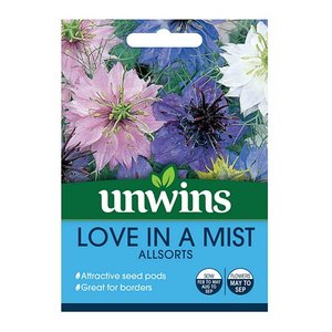 Love In A Mist Allsorts