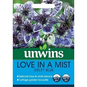 Love in a Mist Delft Blue