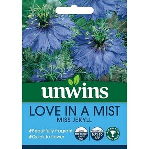 Love In A Mist Miss Jekyll