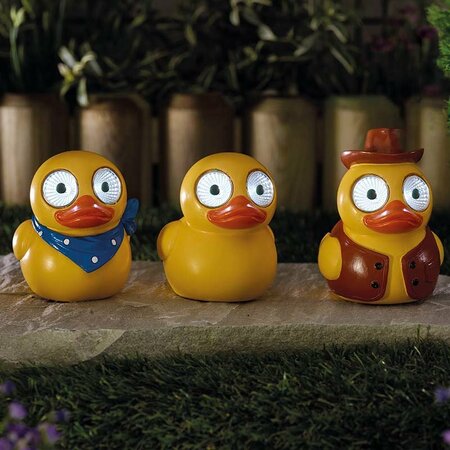 Lucky Ducky! (x3 Assorted)