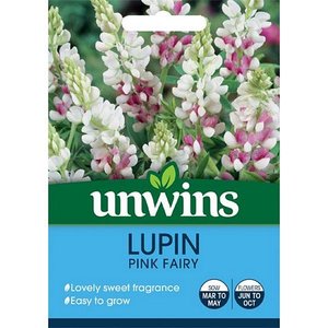 Lupin Pink Fairy