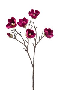 Magnolia mini branch burgundy 65cm