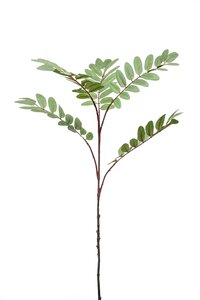 Mahonia branch x5 green 105cm
