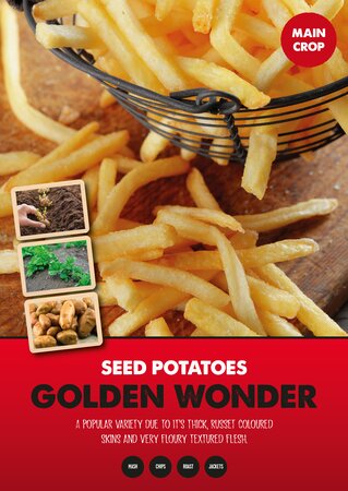 MAIN CROP GOLDEN WONDER  2 KG NETS