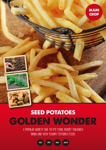 MAIN CROP GOLDEN WONDER 5 KG BAGS
