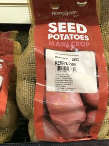 MAIN CROP KERR'S PINK 2 KG NETS - image 2