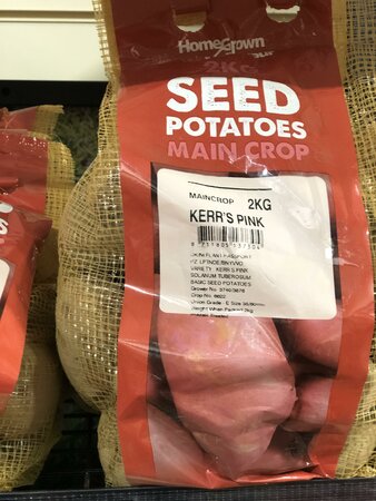 MAIN CROP KERR'S PINK 2 KG NETS - image 2