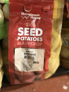 MAIN CROP MARIS PIPER 2 KG NET
