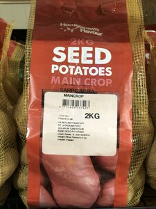 MAIN CROP SARPO MIRA 2 KG NET