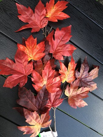 Maple Leaves Spray