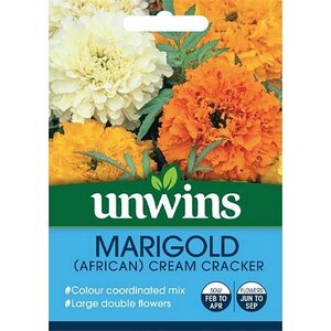 Marigold African Cream Cracker