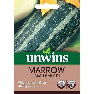 Marrow Bush Baby F1
