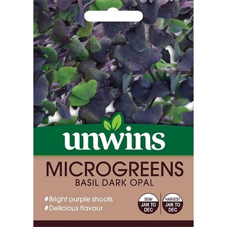 MicroGreens Basil Dark Opal