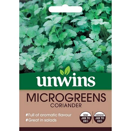MicroGreens Coriander