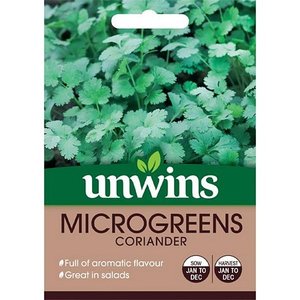 MicroGreens Coriander