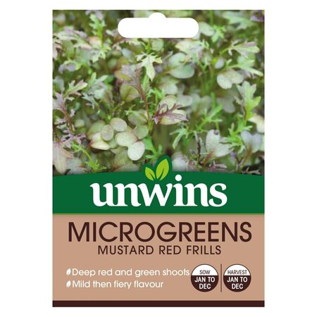 MicroGreens Mustard Red Frills - image 1
