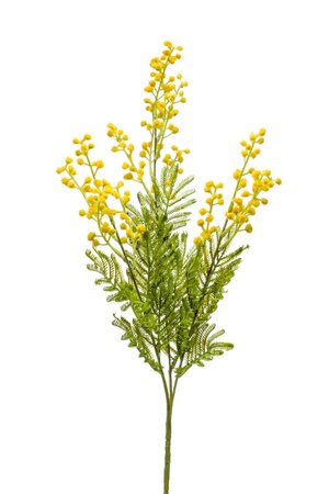 Mimosa spray x3 68cm yellow