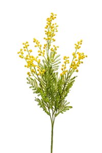 Mimosa spray x3 68cm yellow