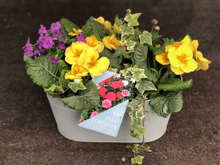 Mint Oval Zinc Trough - 31.5cm