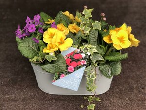 Mint Oval Zinc Trough - 31.5cm