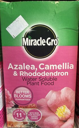 MIRACLE GRO ERICACEOUS 1KG
