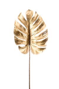 Monstera leaf metallic gold