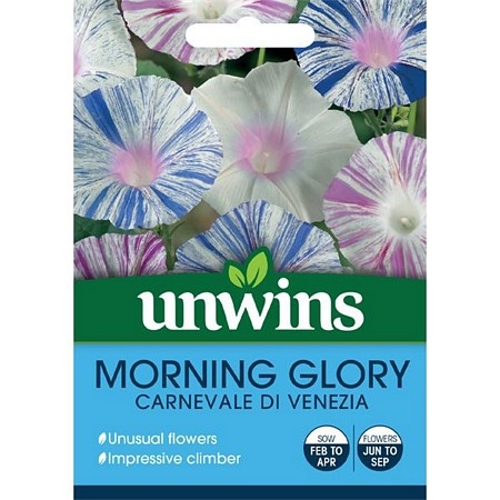 Morning Glory Carnevale di Venezia