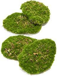 Moss plate 4pcs/bag