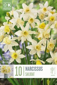 NARCISSUS BOTANICAL SAILBOAT
