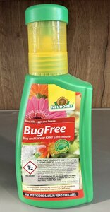 Neudorff BugFree Bug and Larvae Killer Concentrate
