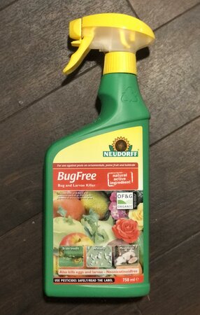 Neudorff Bugfree Organic Bug and Larvae Killer