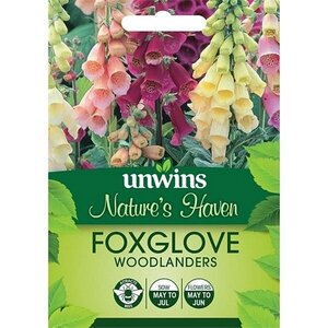 NH Foxglove Woodlanders