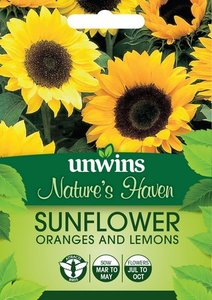 NH Sunflower Oranges and Lemons
