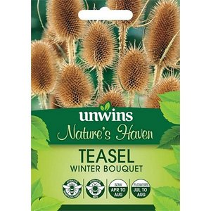 NH Teasel Winter Bouquet