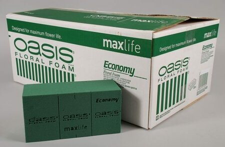 Oasis® Economy