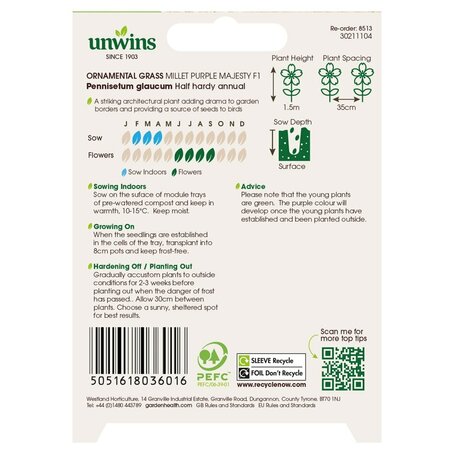 OG Millet Purple Majesty F1Flower - image 2