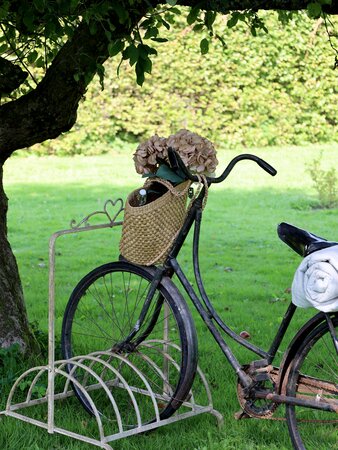 Old Bicycle Rack