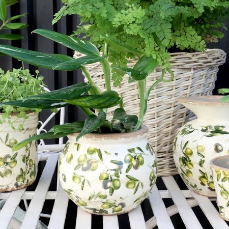 Olive Planter w. olive pattern