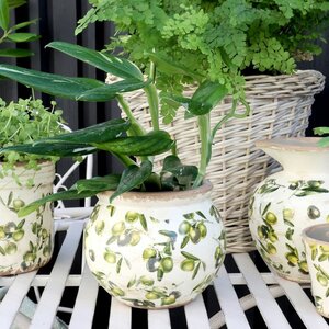Olive Planter w. olive pattern